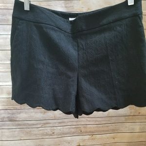 Ann Taylor Loft Riviera Short